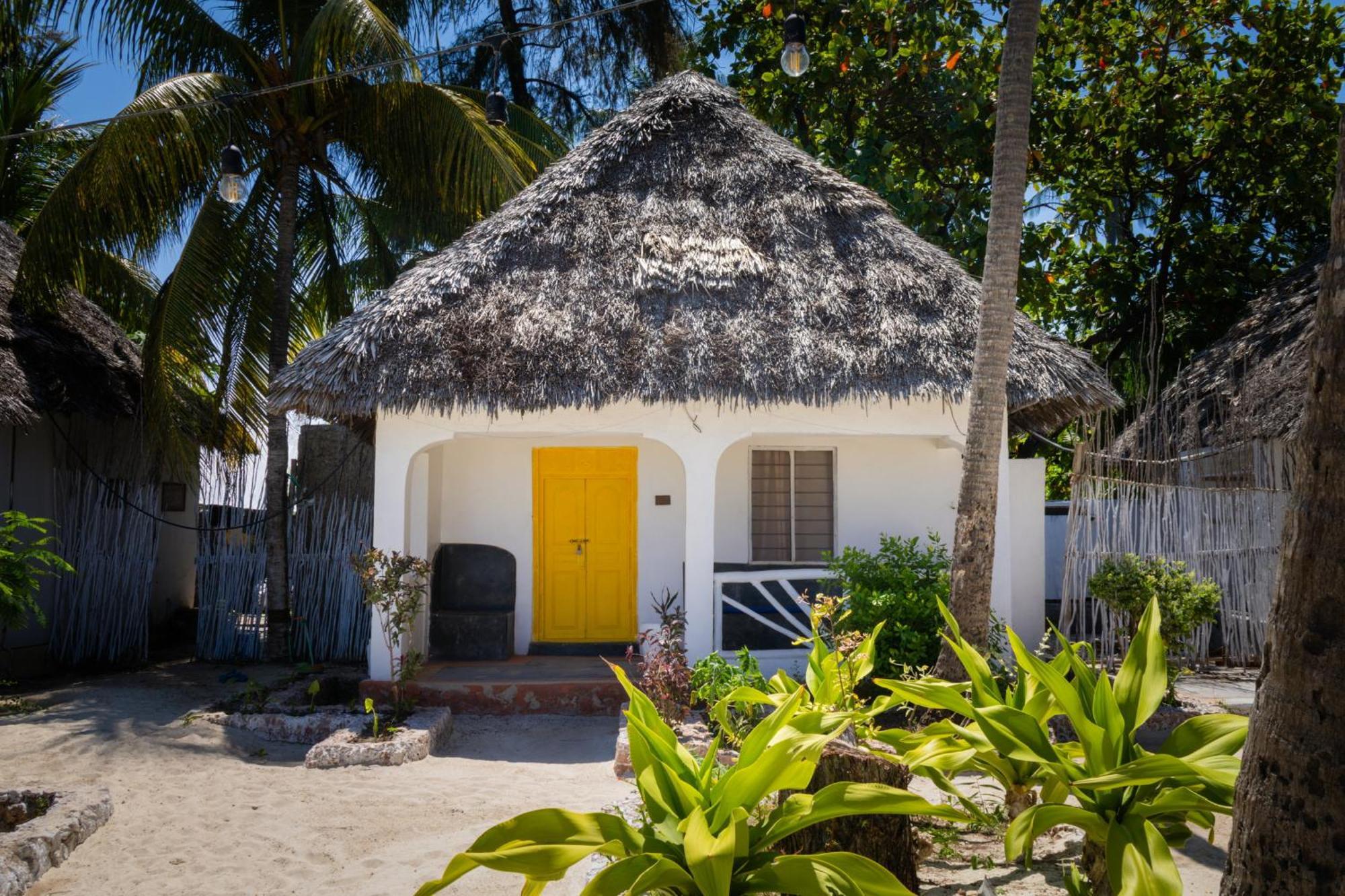 Pili Pili Palm